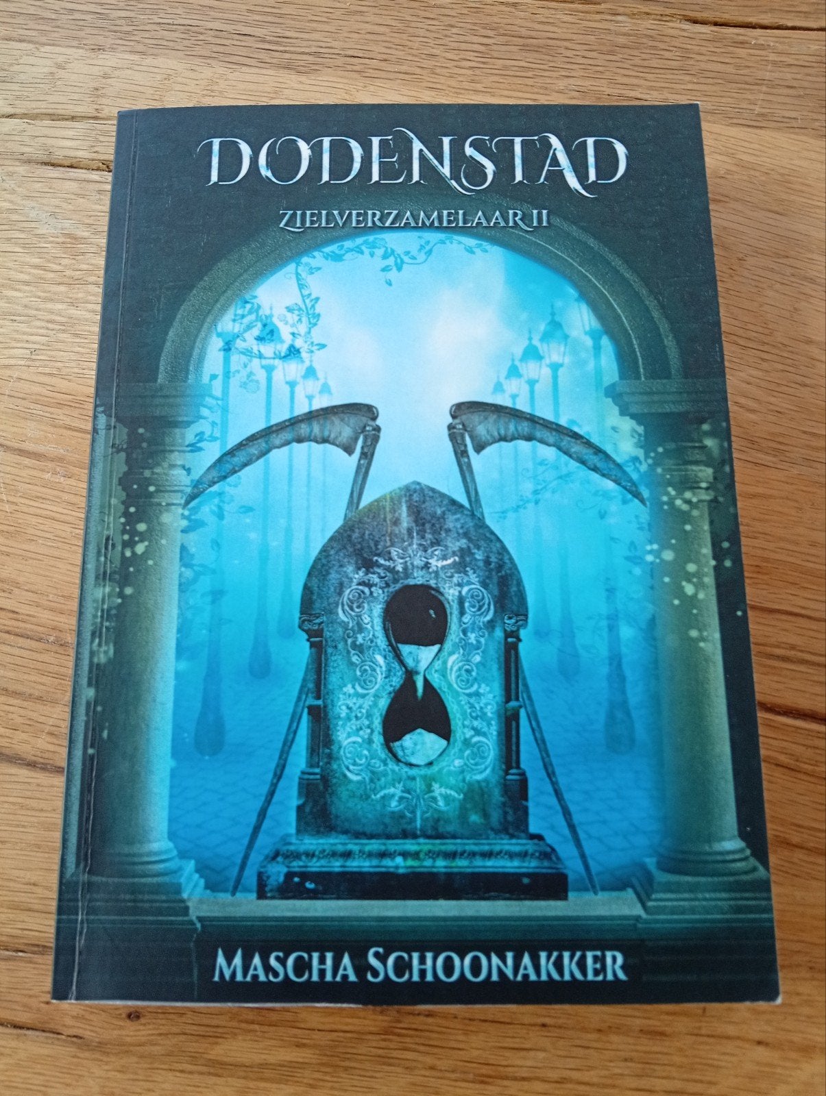 Dodenstad: Zielverzamelaar II - Mascha Schoonakker, Ophalen of Verzenden, Gelezen, Mascha Schoonakker