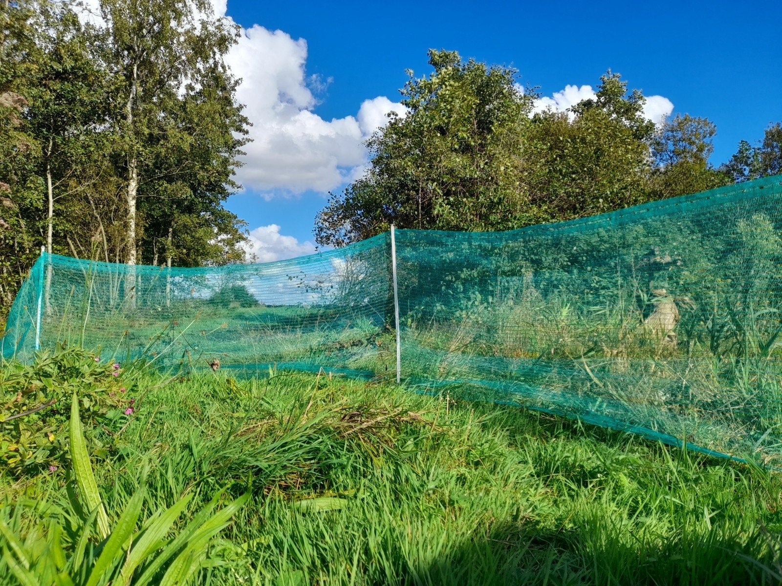 10 meter afzet draad - Groen gaashekwerk, Tuin en Terras, Ophalen of Verzenden, Gebruikt, Kunststof, Gaashekwerk