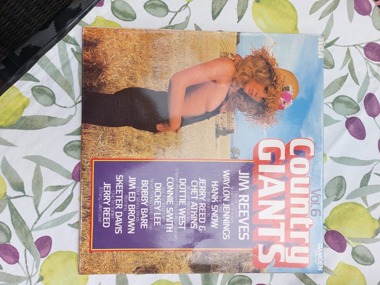 Country Giants Vol. 6 - Diverse Artiesten LP, Ophalen of Verzenden, Gebruikt, Album, Country