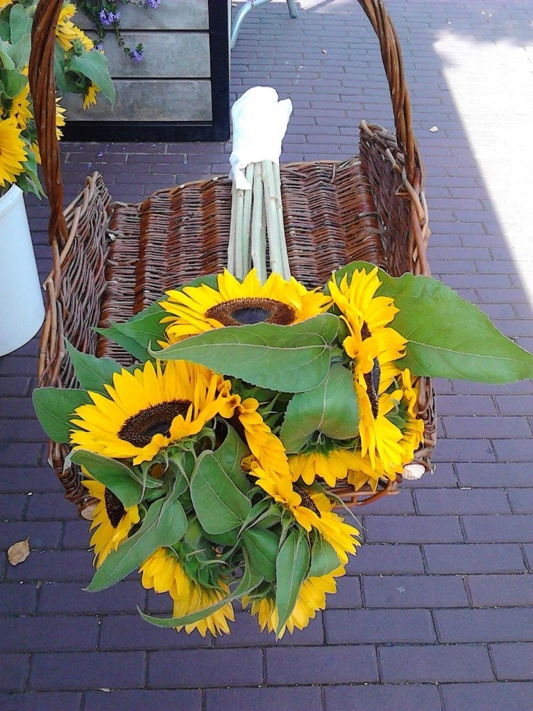 Zonnebloemen vers van het land, Tuin en Terras, Ophalen, Nieuw