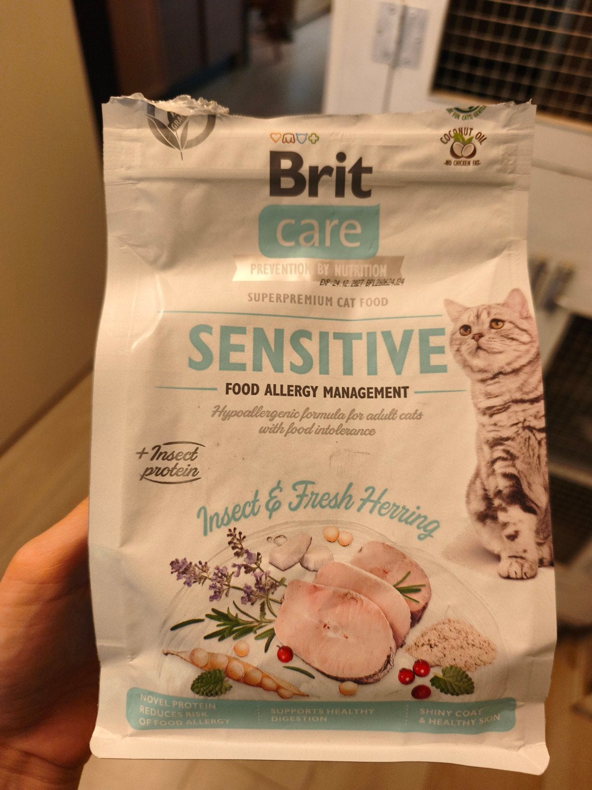 kattenvoer hypoallergeen, Ophalen, Kat