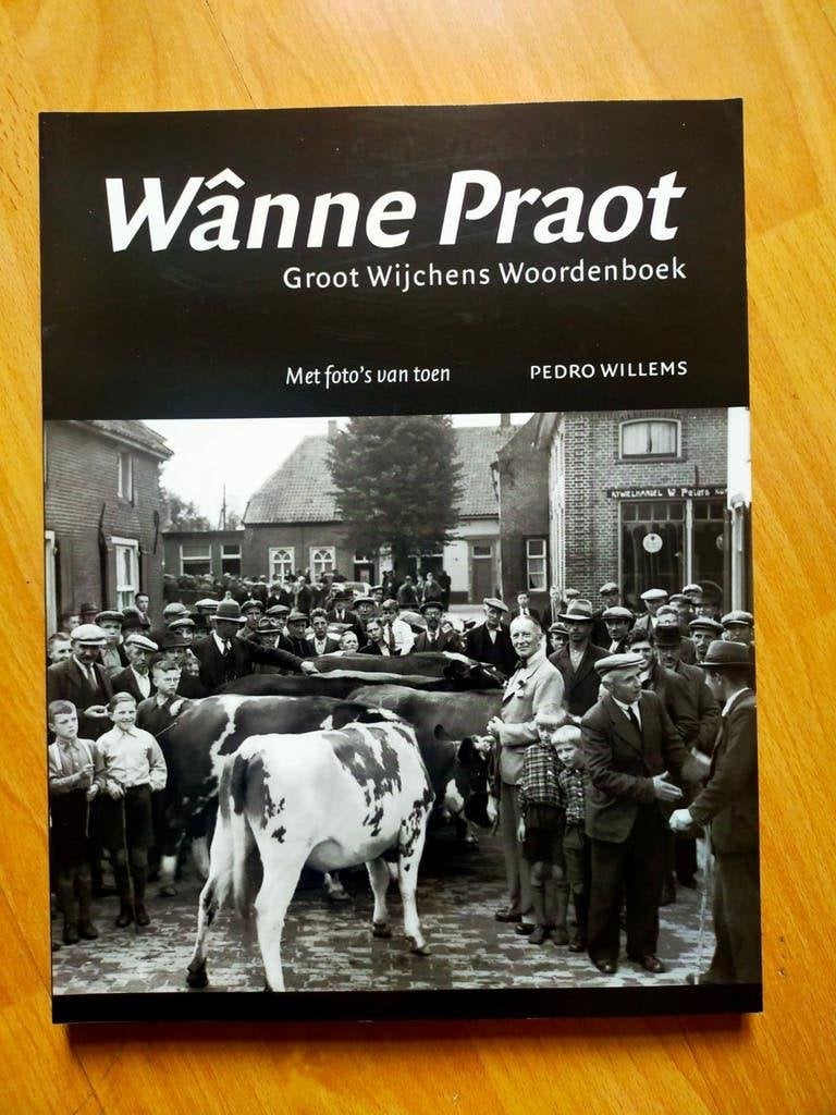 Wânne Praot - groot Wijchens woordenboek (als nieuw), Ophalen of Verzenden, Zo goed als nieuw