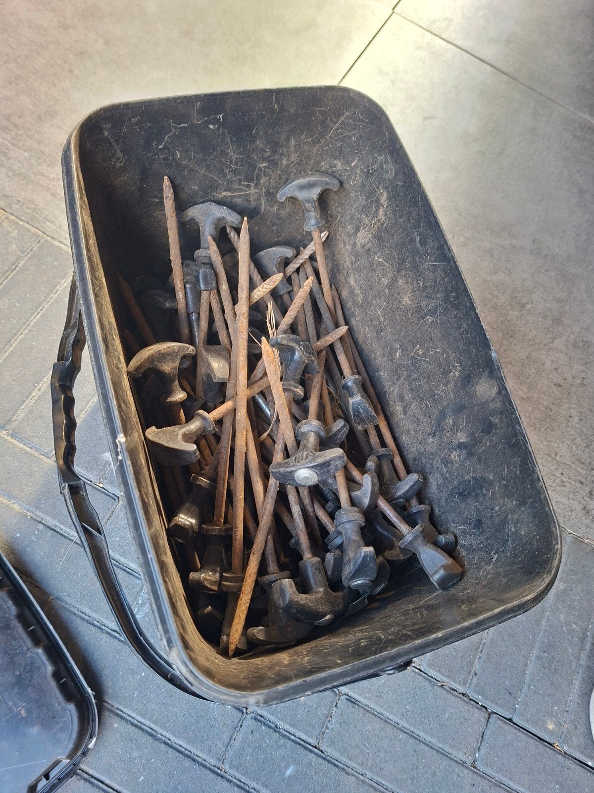Emmer vol tentharingen voor karpervissen, Ophalen