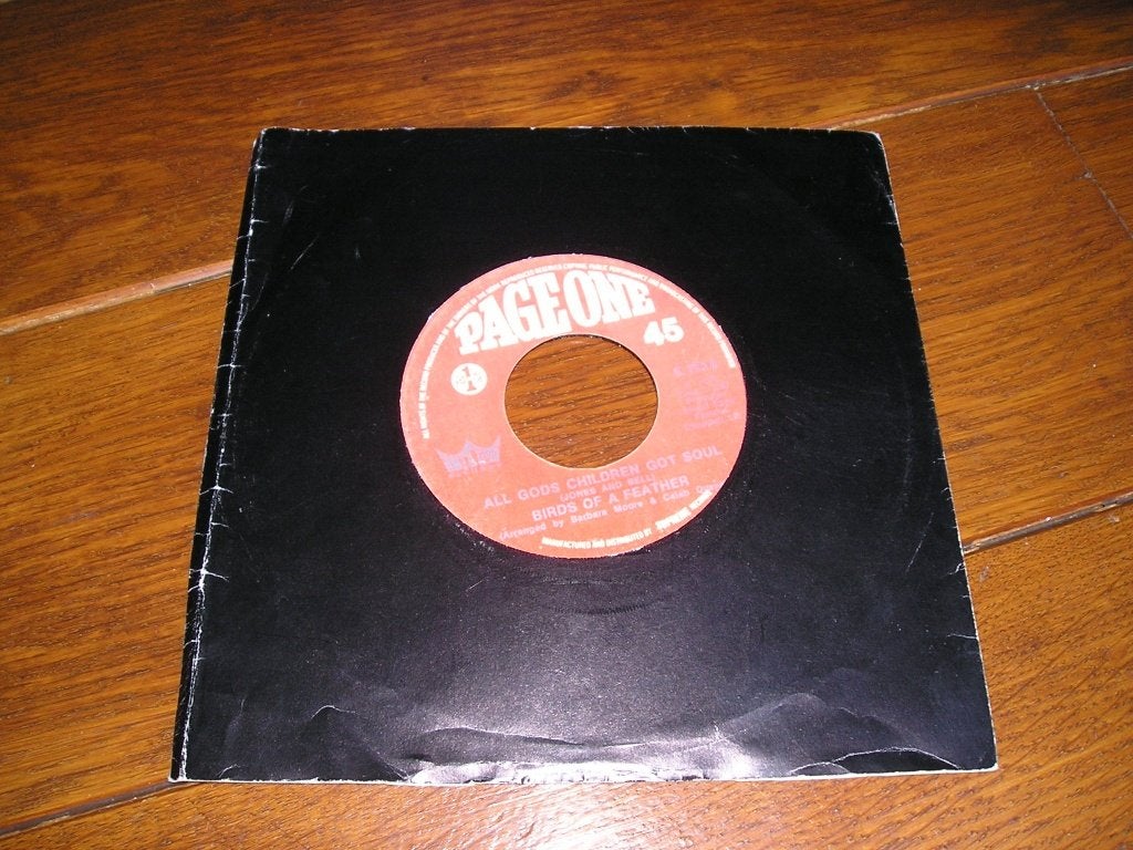 Birds of a feather all gods children, Cd's en Dvd's, Vinyl Singles, Ophalen of Verzenden, Zo goed als nieuw, 7 inch, Pop