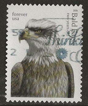 USA 200, adelaar, Verzenden, Gestempeld, Noord-Amerika