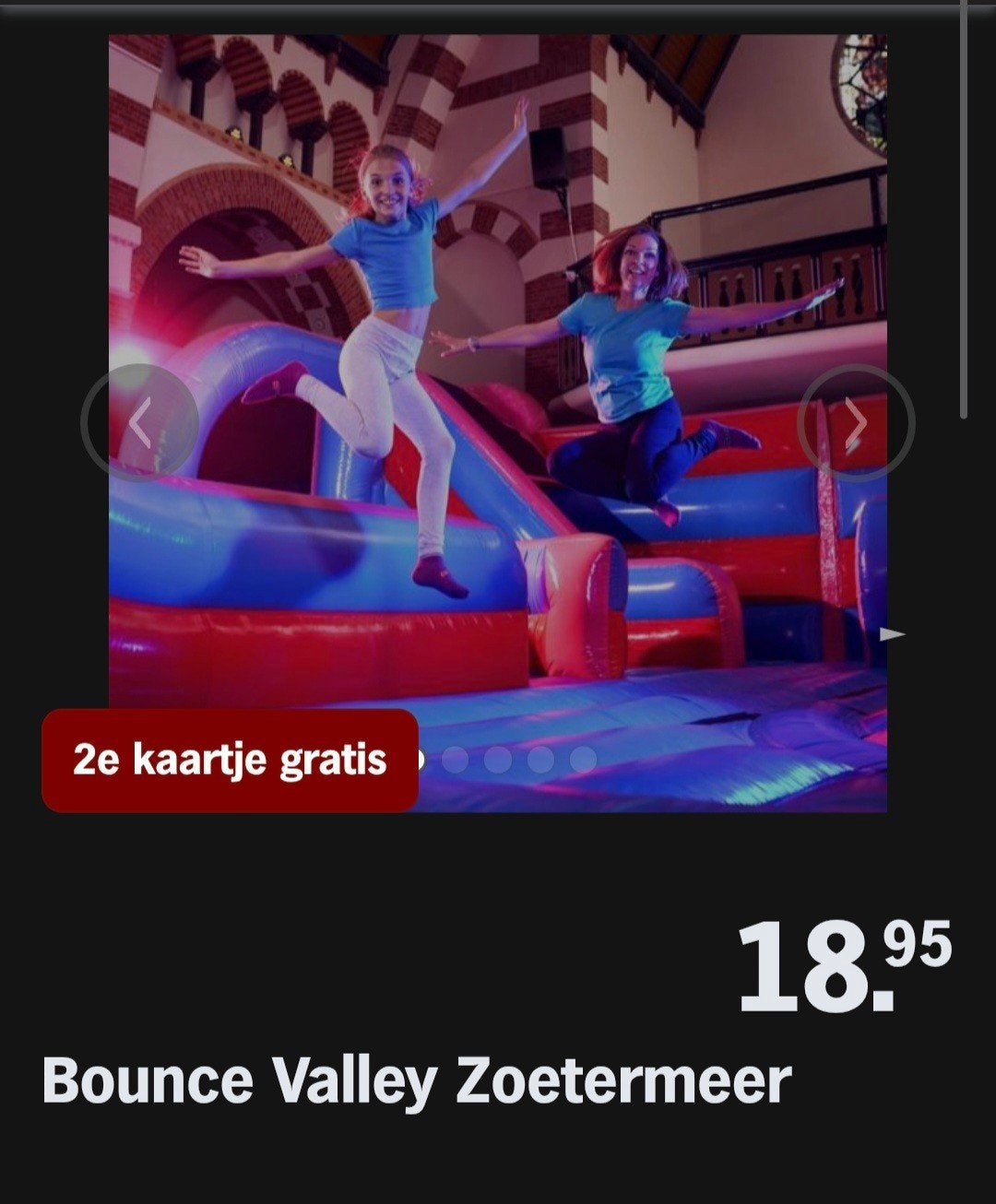 BOUNCE VALLEY ZOETERMEER ♡ 2e kaartje gratis (AH ACTIE), Overige soorten