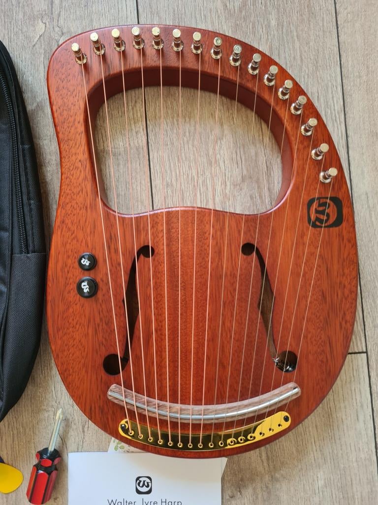 Electrische Walter Lyre Harp - nieuw, Muziek en Instrumenten, Snaarinstrumenten | Overige, Ophalen of Verzenden, Nieuw, Overige typen