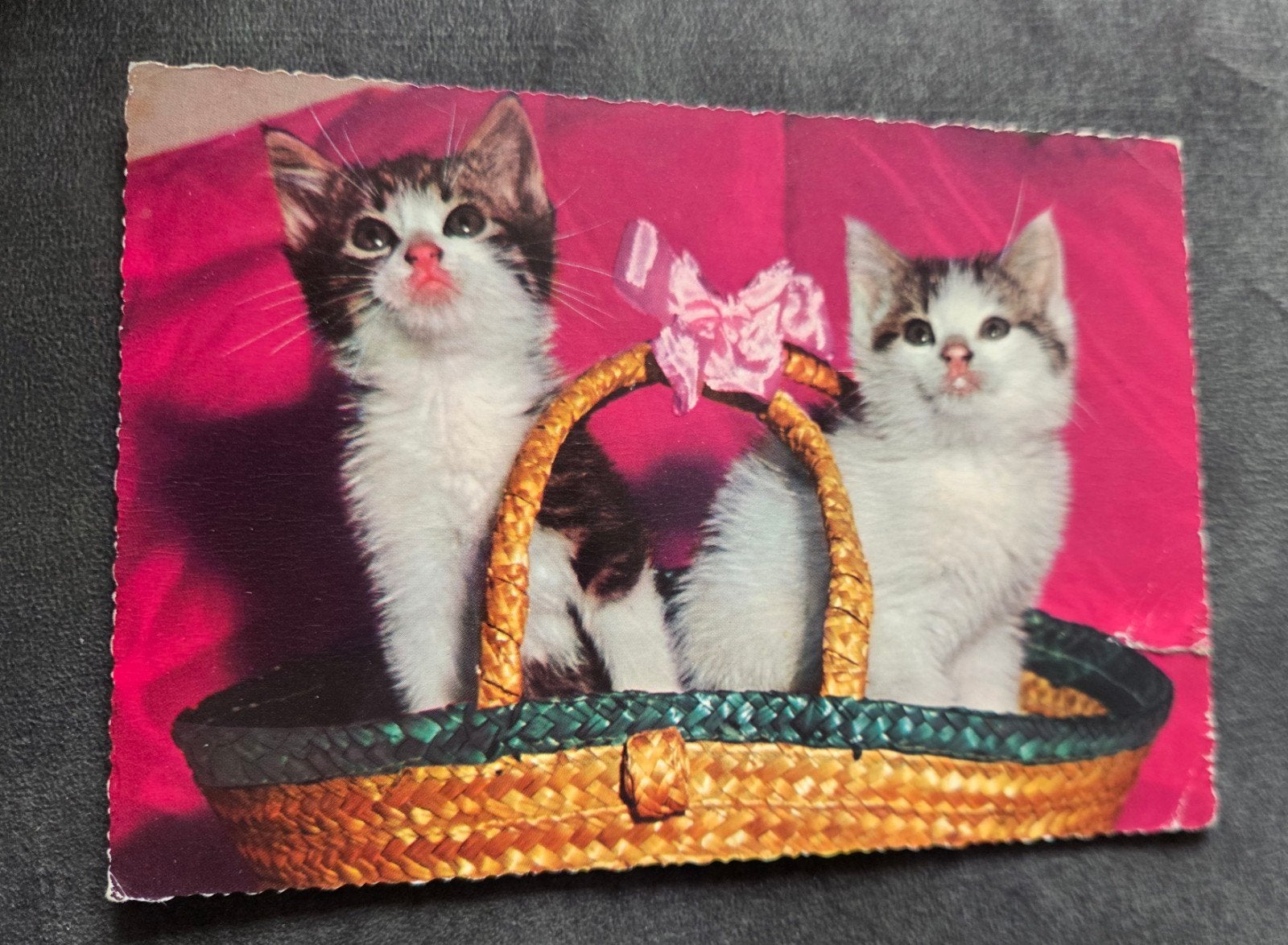 Twee Schattige Katjes in Mandje, Verzamelen, Verzenden, Gelopen, Hond of Kat