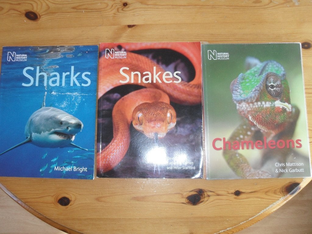 2 BOEKEN OVER HAAIEN en SLANGEN., Boeken, Gelezen, Diverse auteurs, Ophalen of Verzenden, Los deel