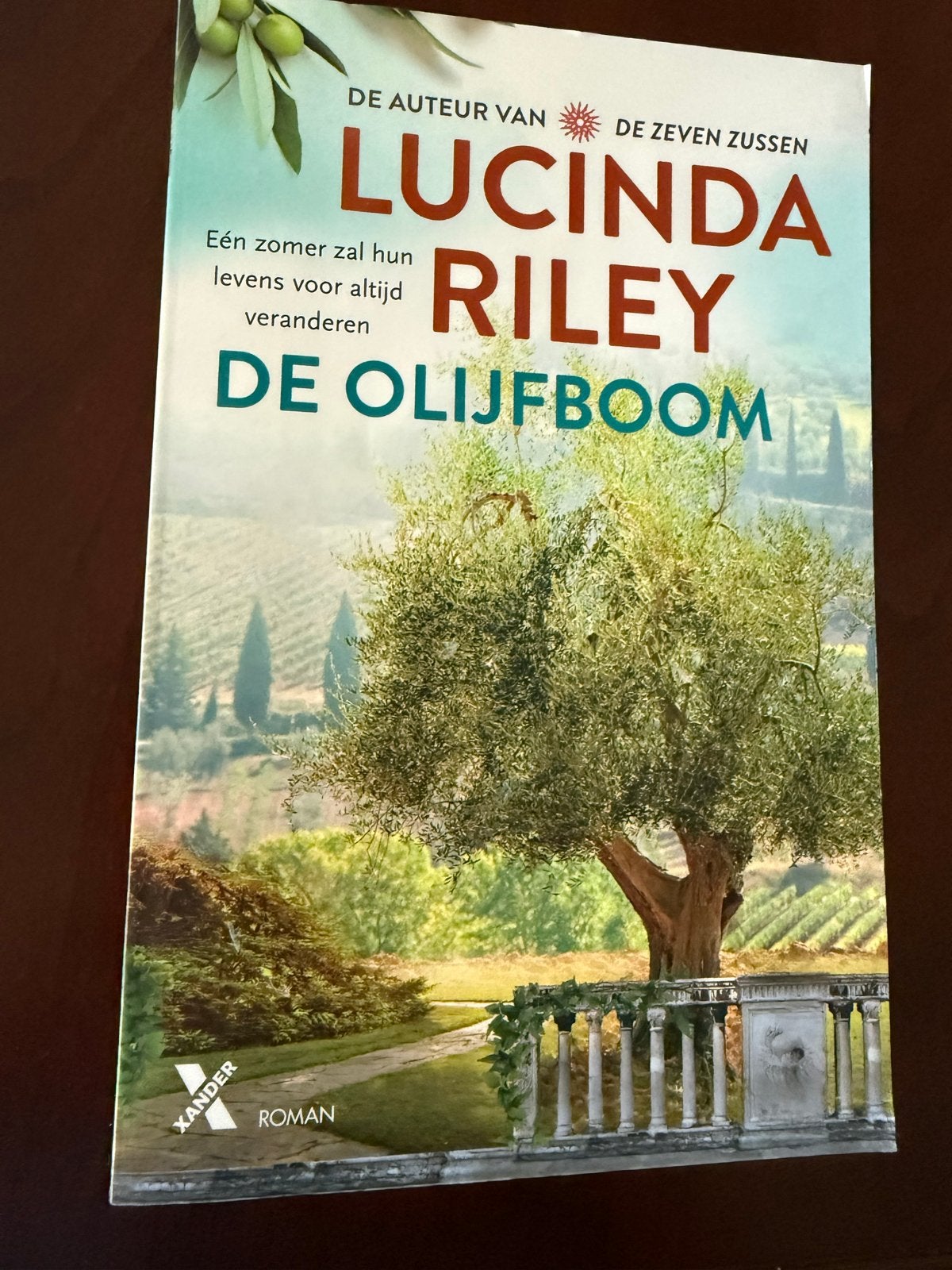 De Olijfboom - Lucinda Riley - Roman, Boeken, Ophalen of Verzenden, Zo goed als nieuw, Nederland