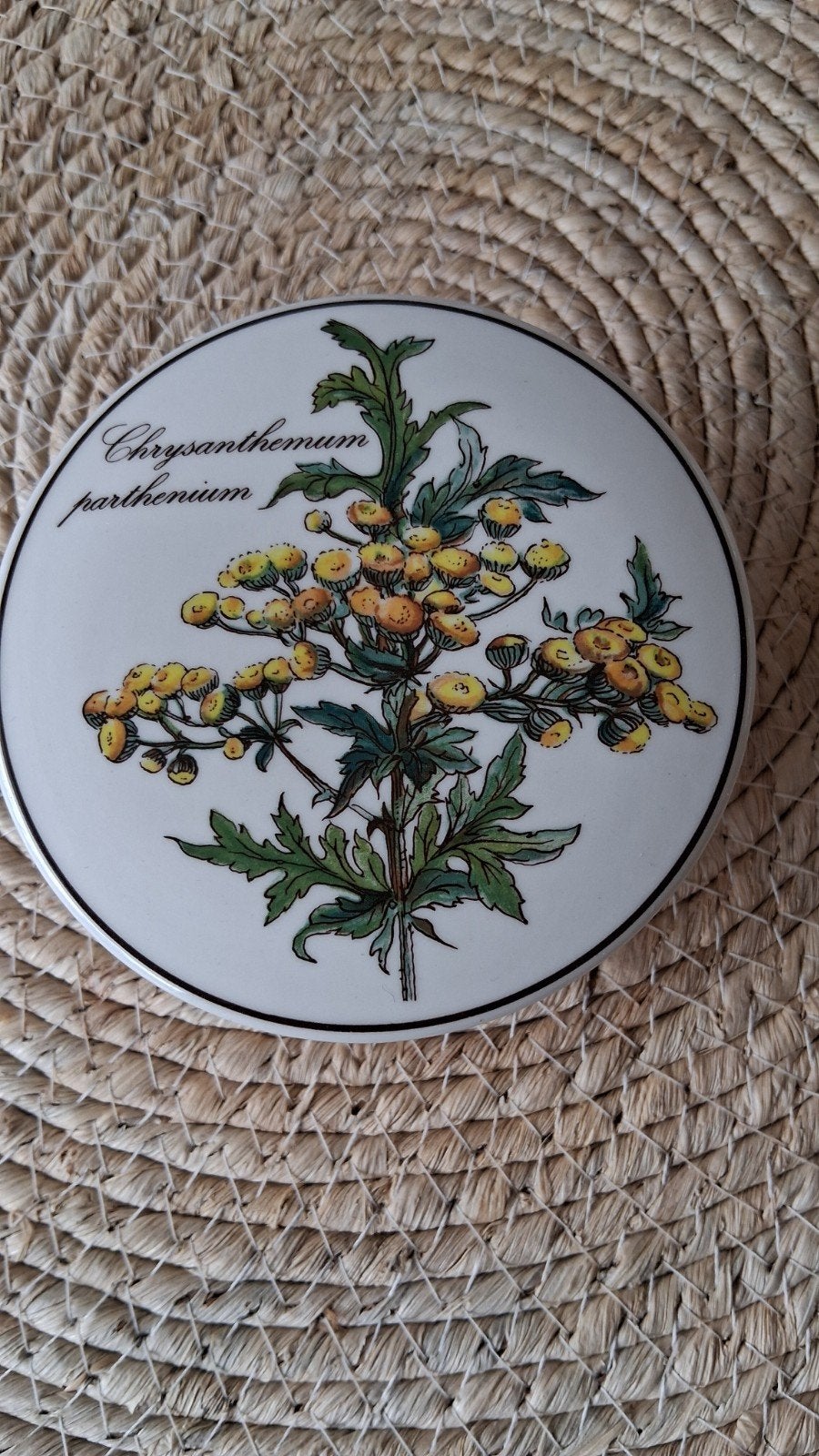 Villeroy & Boch Botanica potje - Chrysanthemum parthenium, Ophalen, Porselein of Keramiek, Rond, Pot of Kruik