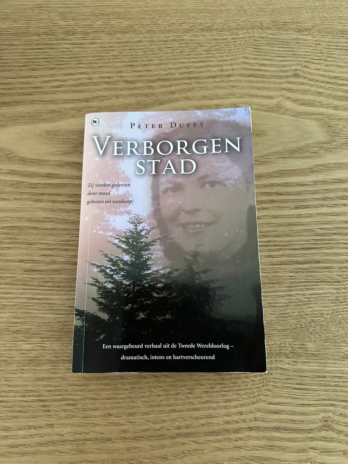 P. Duffy - Verborgen stad, Boeken, Ophalen of Verzenden, Gelezen, P. Duffy