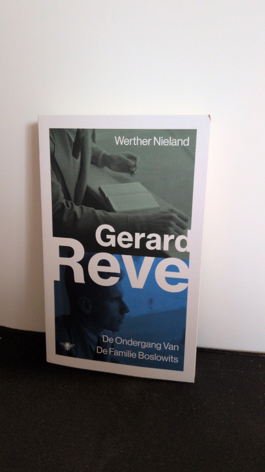 Gerard Reve - Werther Nieland / De Ondergang Van Familie, Ophalen of Verzenden, Zo goed als nieuw, Gerard Reve, Nederland