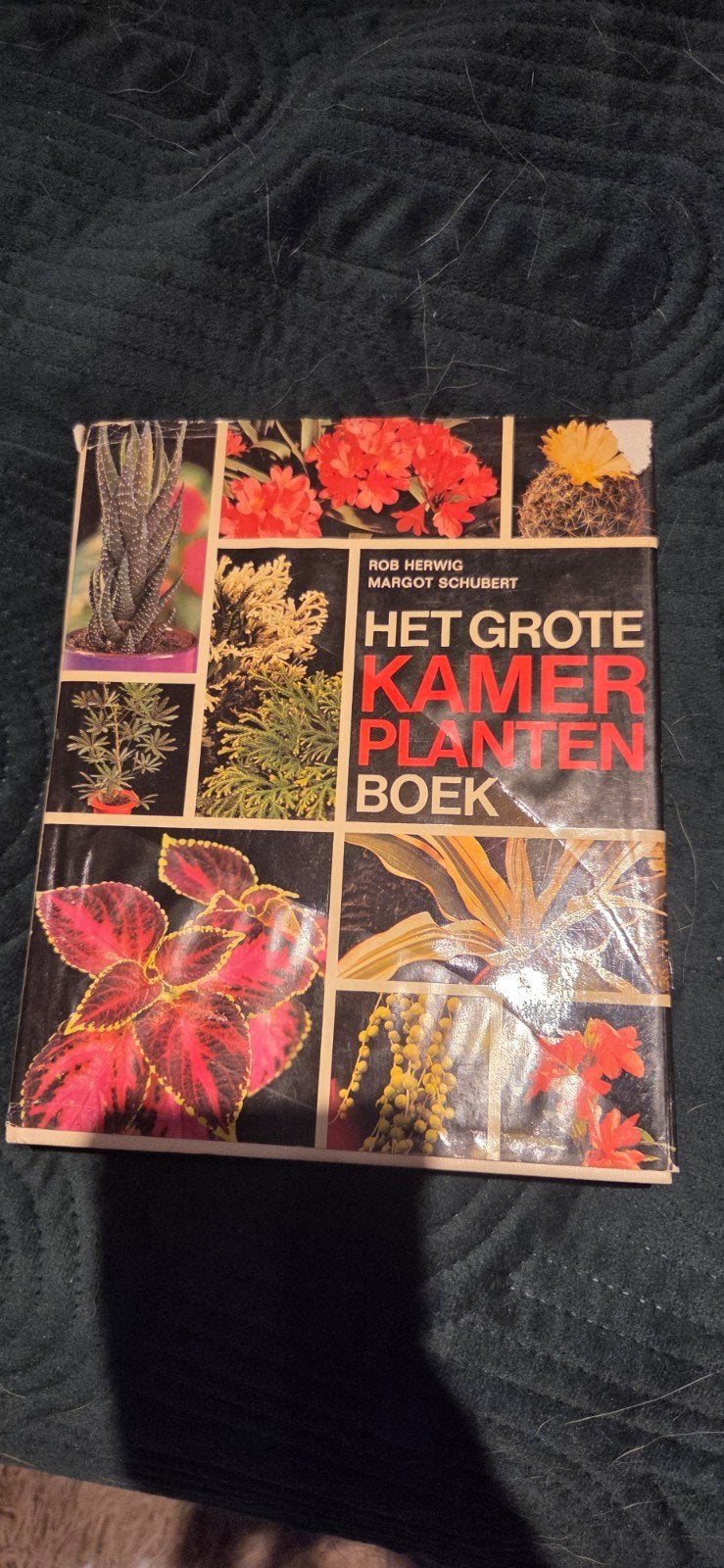 Het Grote Kamerplanten Boek - Rick Herwig & Margot Schubert, Boeken, Ophalen of Verzenden, Gelezen, Rick Herwig, Margot Schubert
