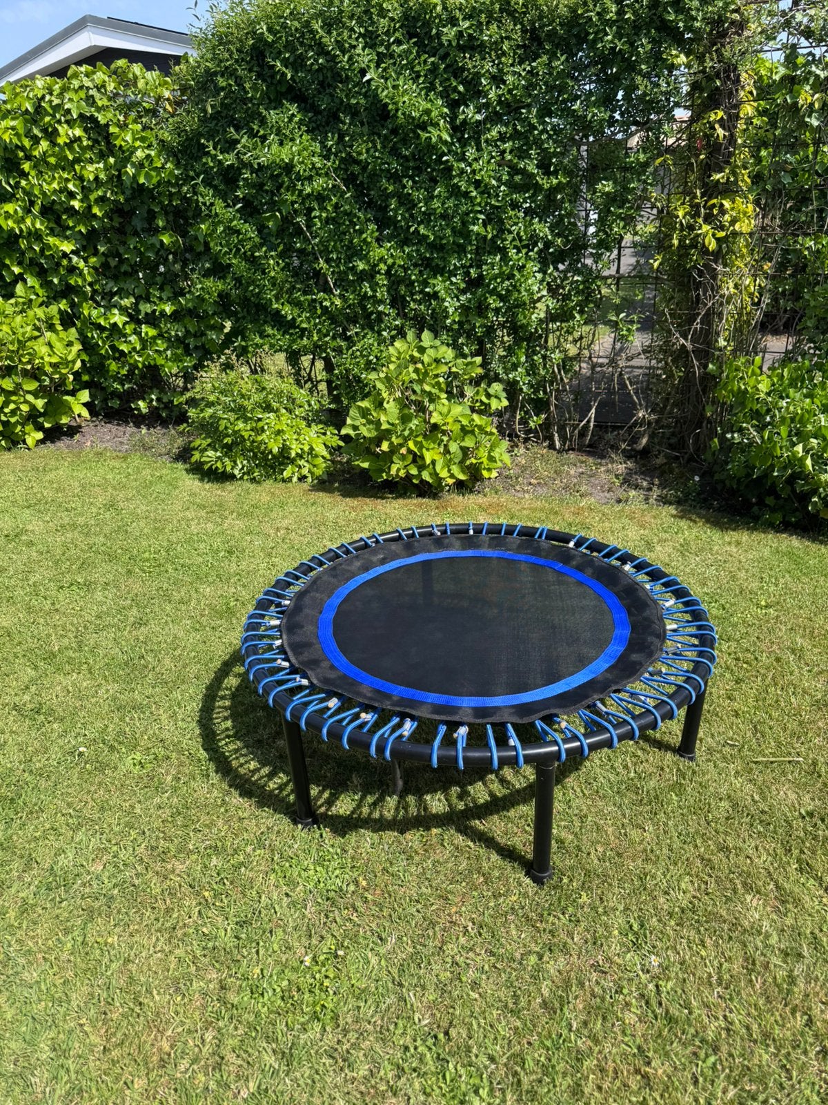 Trampoline 1-persoons binnen-/buiten, Ophalen, Gebruikt, Overige typen