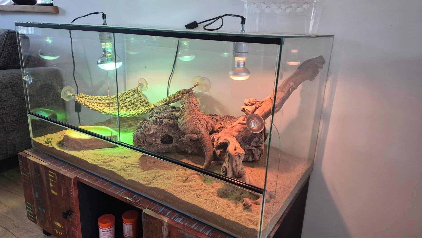 glazen terrarium 100x50x50, Ophalen, Gebruikt, Terrarium of Paludarium