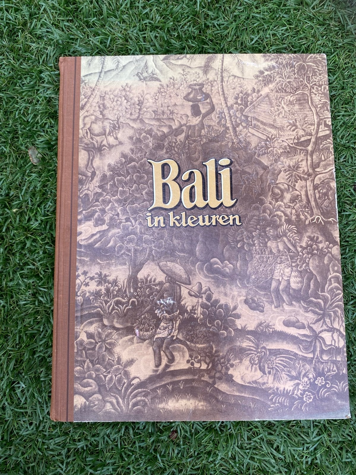Bali in Kleuren - Douwe Egberts uitgave, Reisgids of -boek, Azië, Ophalen, Gelezen
