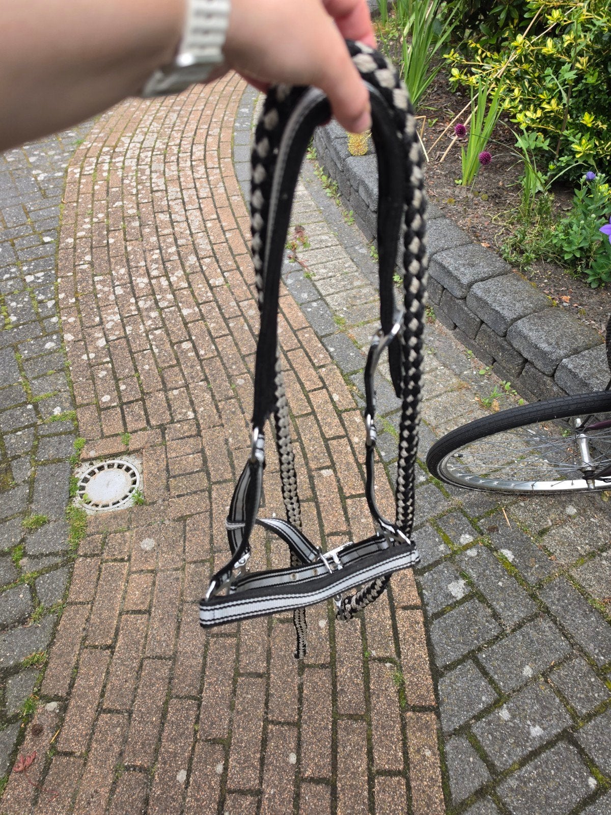Halster met touw, Ophalen, Gebruikt, Meerkleurig, Halster