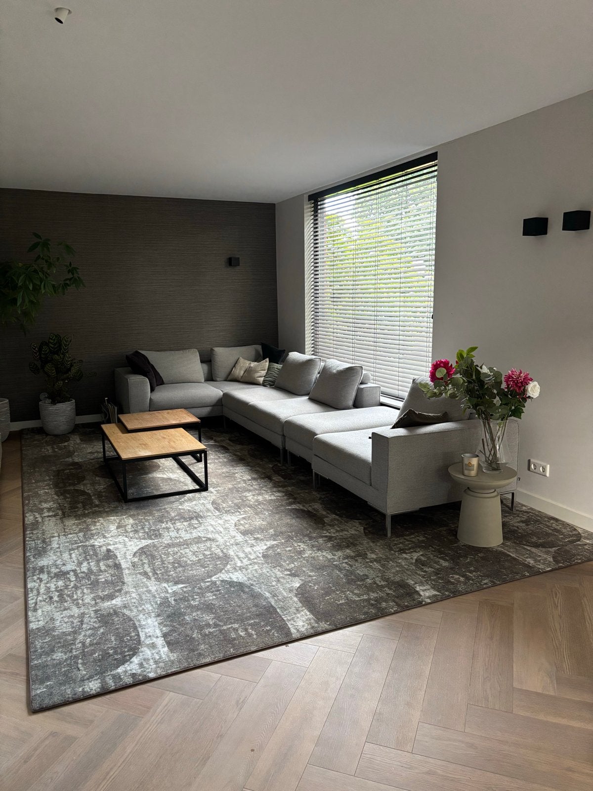 Desso vloerkleed 500cm x 310cm., Ophalen, Gebruikt, 200 cm of meer, 200 cm of meer