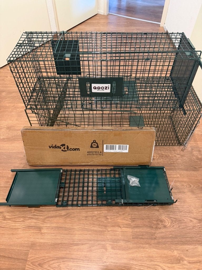Katten/dieren/ongedierten- val. Huisdier vermist - Z.G.A.N., September, Geslacht onbekend