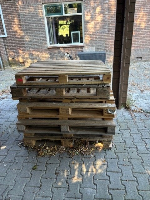 pallets. gratis af te halen, Doe-het-zelf en Verbouw, Hout en Planken, Ophalen, Gebruikt, 25 tot 50 mm, Pallet