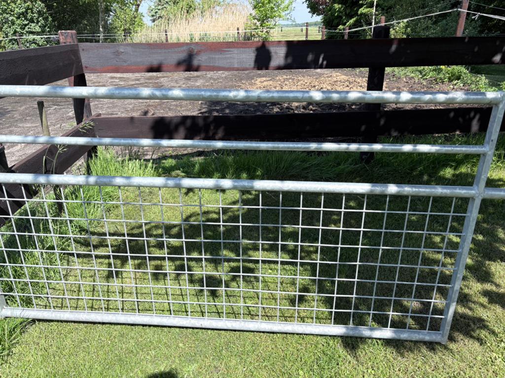 1x een stalen hek, Tuin en Terras, Tuinhekken en Hekwerk, Ophalen, Zo goed als nieuw, IJzer, Sierhekwerk