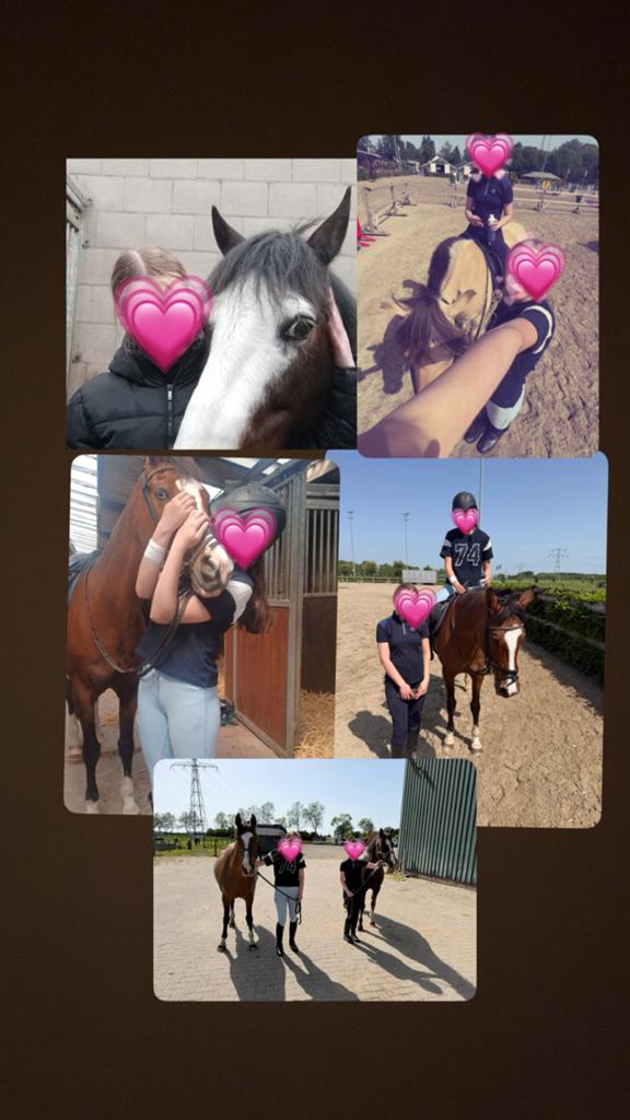 Verzorgsters/bijrijders aangeboden!, Dieren en Toebehoren, Paarden en Pony's | Verzorgingsproducten, Ophalen of Verzenden