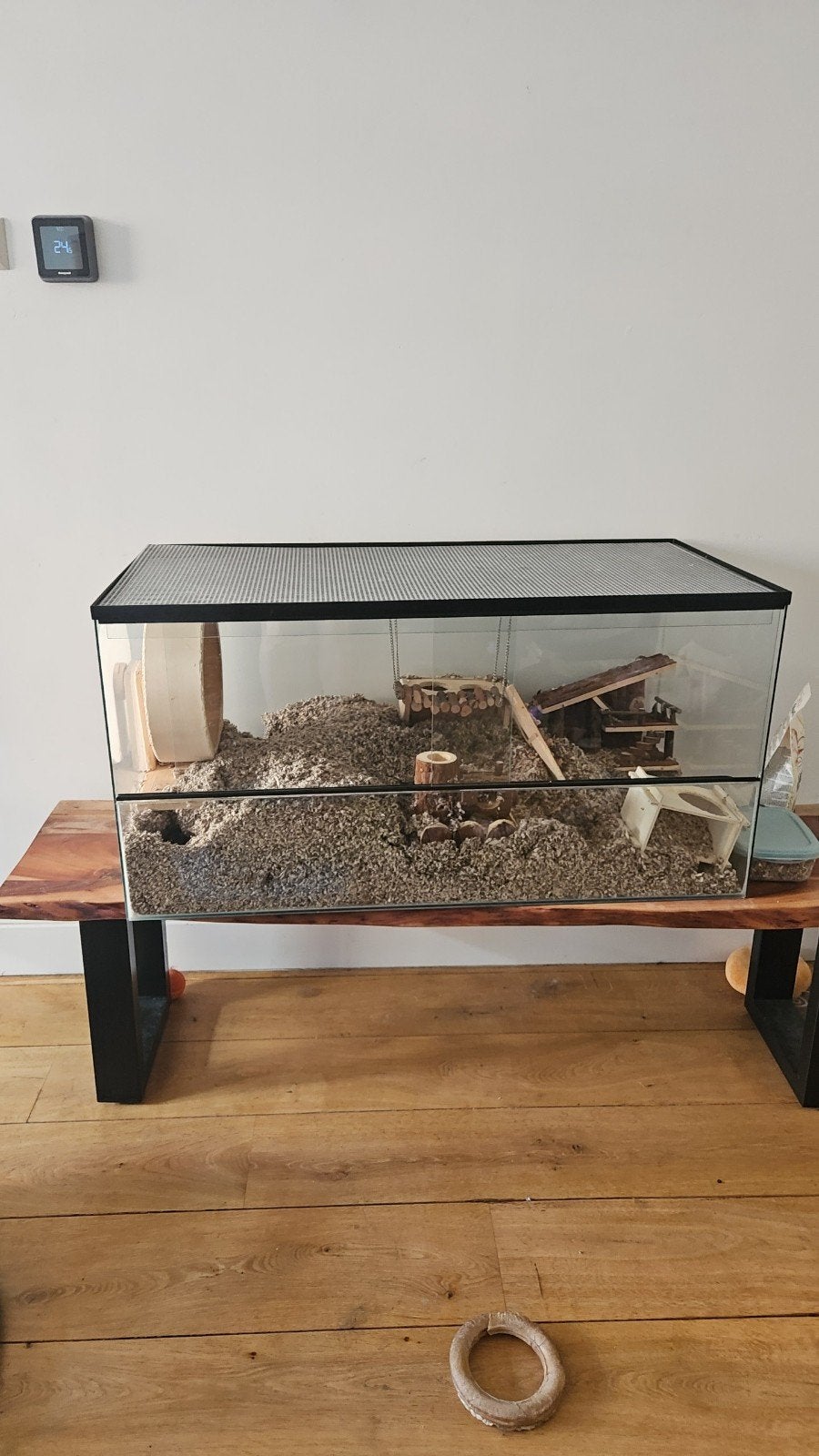 Gerbil / hamster hok, Dieren en Toebehoren, Knaagdieren en Konijnen | Hokken en Kooien, 75 tot 110 cm, Ophalen, Minder dan 60 cm