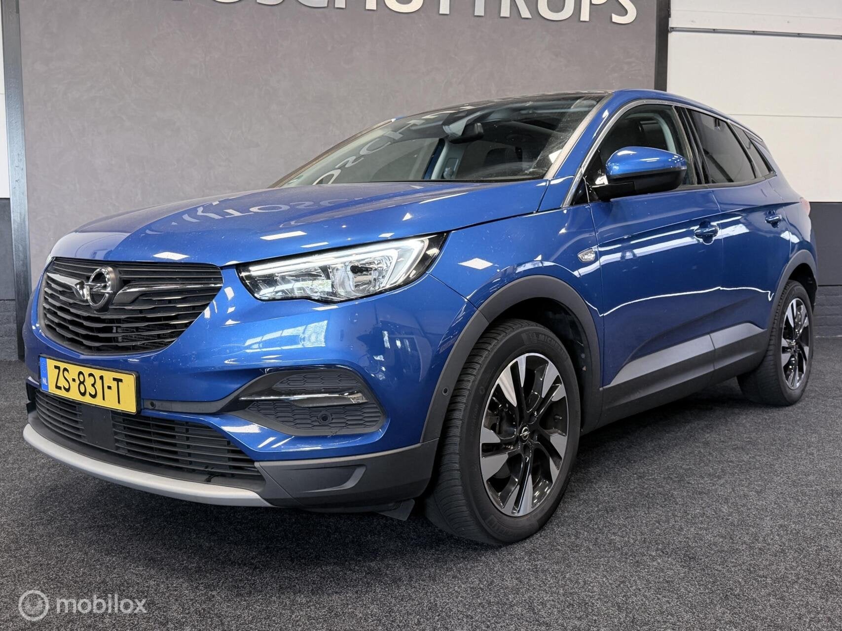 Opel Grandland X 1.2 Turbo Business Executive AUTOMAAT / PAN, Auto's, Gebruikt, Euro 6, 1199 cc, Blauw