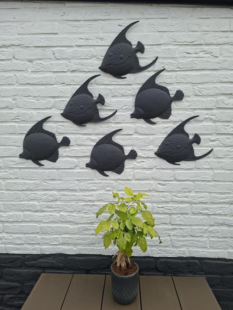 6 Muur/Decoratie Vissen, Ophalen