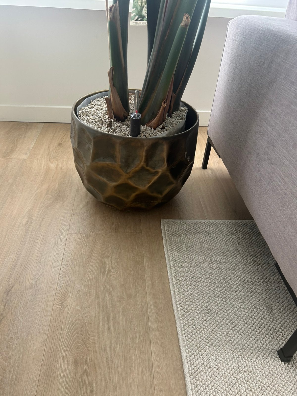 Grote Bloempot brons, Ophalen of Verzenden, Zo goed als nieuw, Rond, Overige materialen