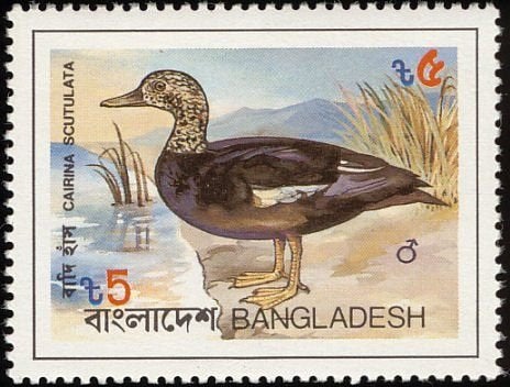 BANGLADESH 11 - Dieren: vogels (eend), Verzenden, Postfris, Dier of Natuur