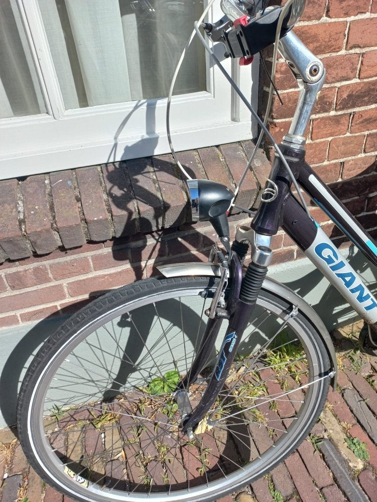 Foto 3 van Dames fiets Giant Canberra