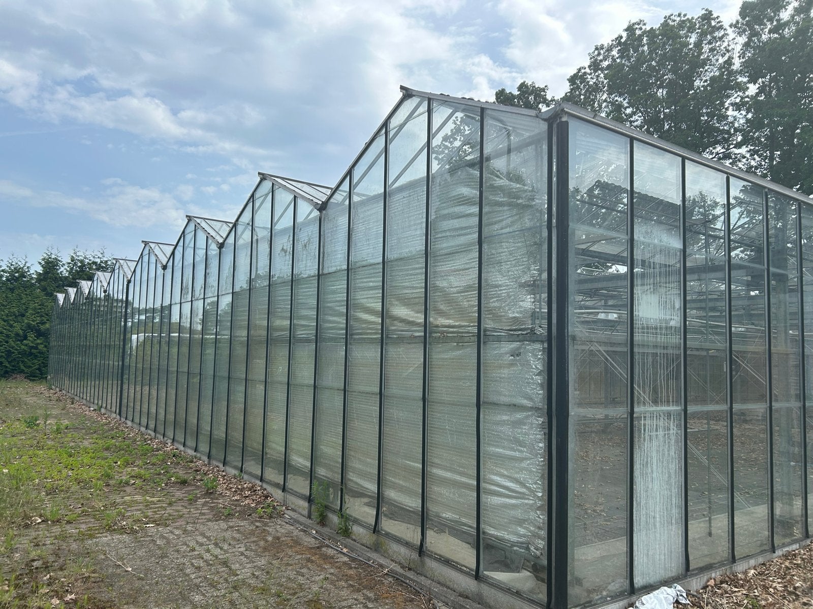 Grote Kweekkas 30x30m - Ideaal voor Professionele Teelt, Tuin en Terras, Kassen, Gebruikt, Kweekkas, Glas, Ophalen