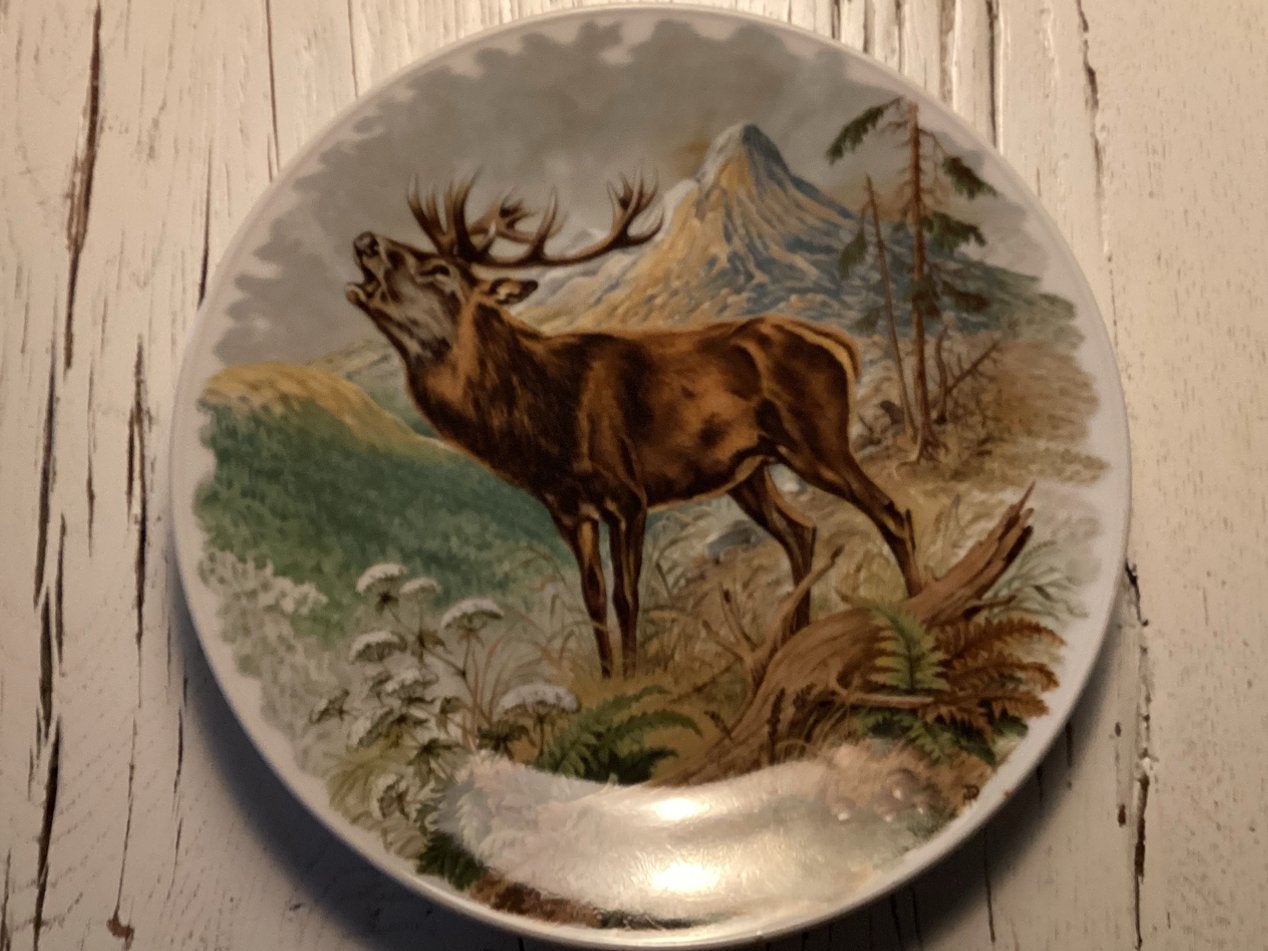 Decoratief bord met hert van Lehmann- Porselein, Ophalen of Verzenden