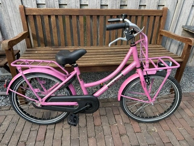 Alpina Cargo 20 inch, Fietsen en Brommers, Fietsen | Meisjes, Ophalen, Terugtraprem, Gebruikt, Alpina
