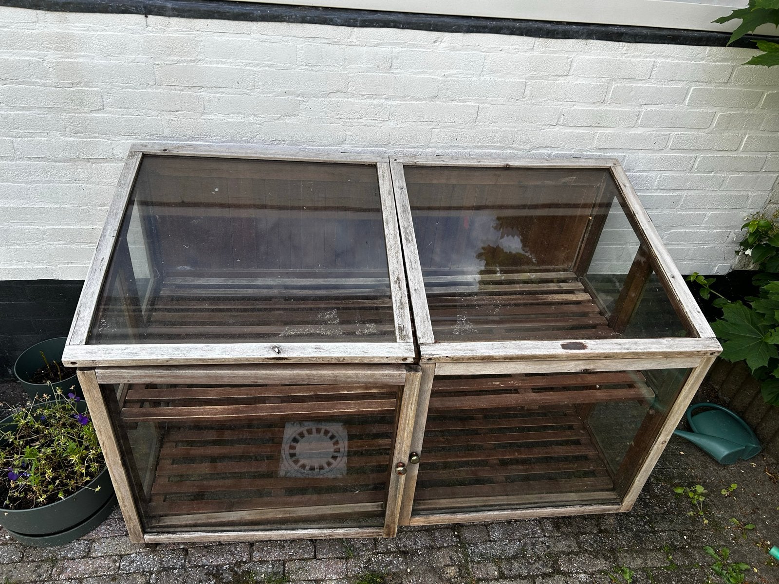Houten kweekkas met glazen panelen, Overige materialen, Gebruikt, Kweekkas, Ophalen of Verzenden