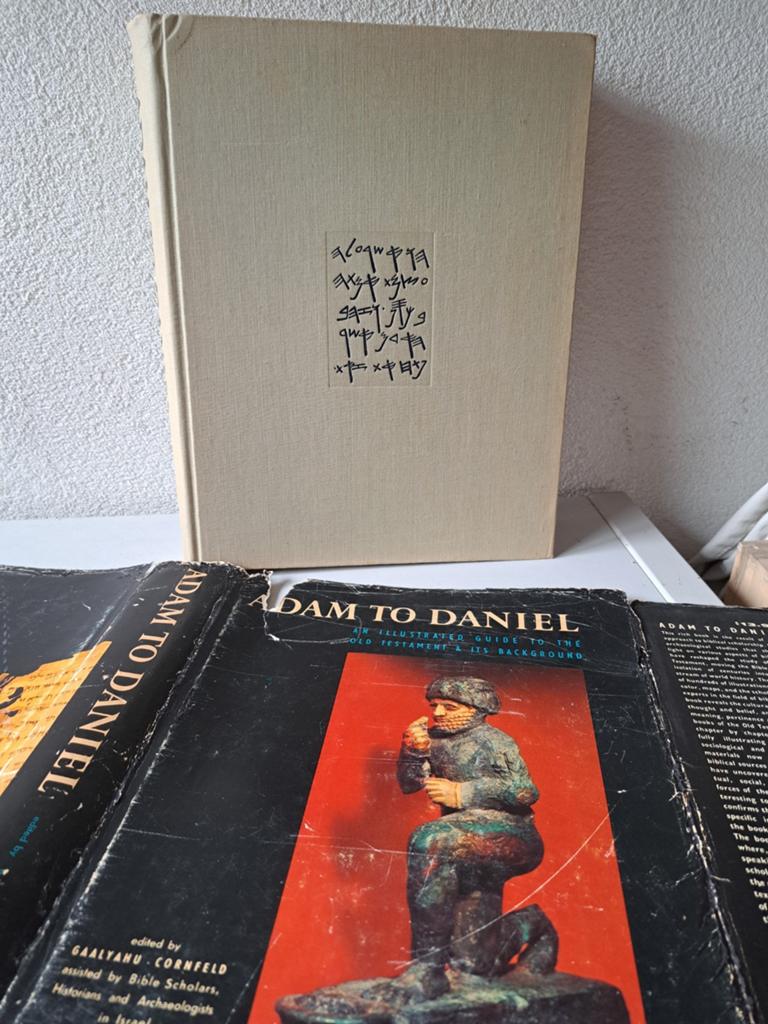 Adam to Daniel - 1e druk met stofkaft - Historians Israel, Ophalen of Verzenden, Zo goed als nieuw, Gaalyahu Cornfeld (redactie)