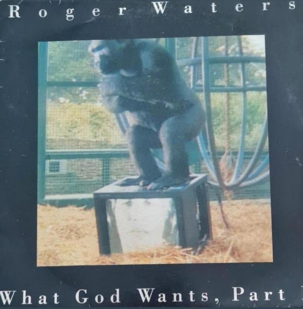 ROGER WATERS  - WHAT GOD WANTS, PART 1, Ophalen of Verzenden, Gebruikt