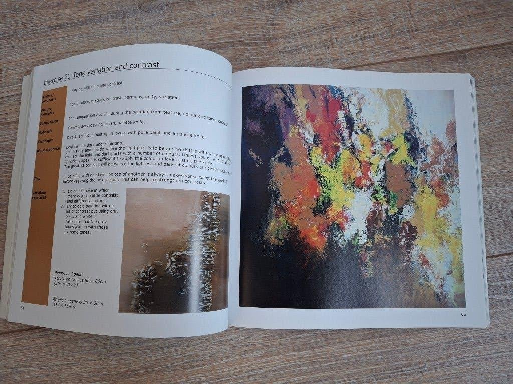 Boek Painting Abstracts, Rolina van Vliet, Ophalen of Verzenden, Gelezen, Schilder- en Tekenkunst, Rolina van Vliet