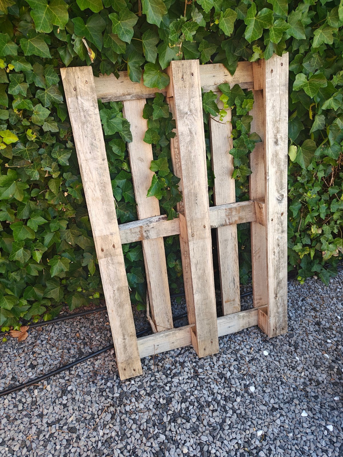 Gratis pallet!, Ophalen, Overige houtsoorten, Minder dan 200 cm, Pallet