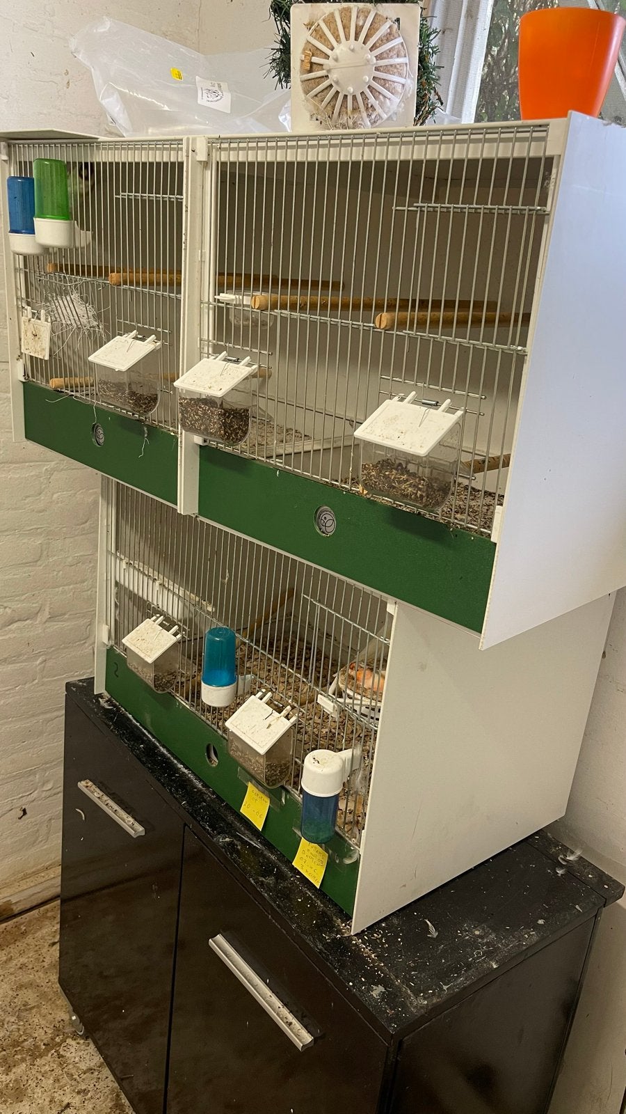 kooien met een kast, Ophalen
