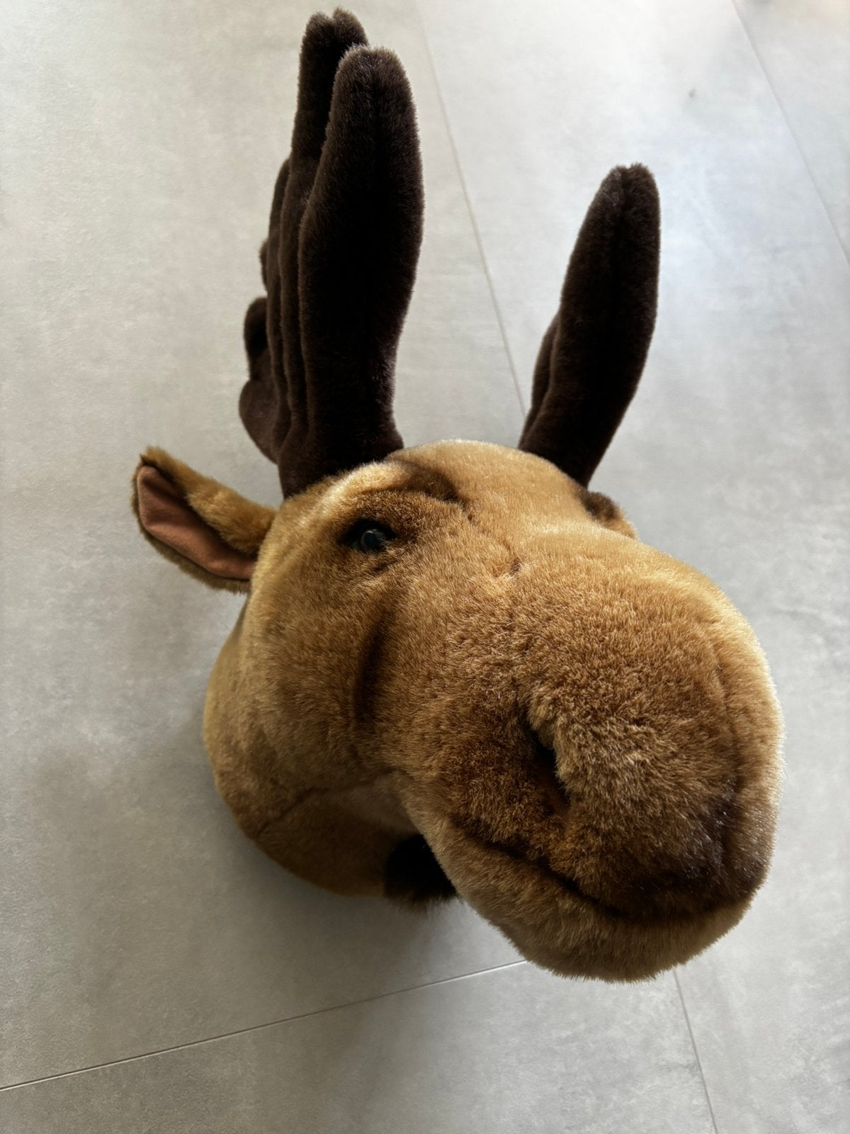 Dierenkop eland hert gewei voor aan de muur pluche dierenkop, Ophalen of Verzenden, Zo goed als nieuw