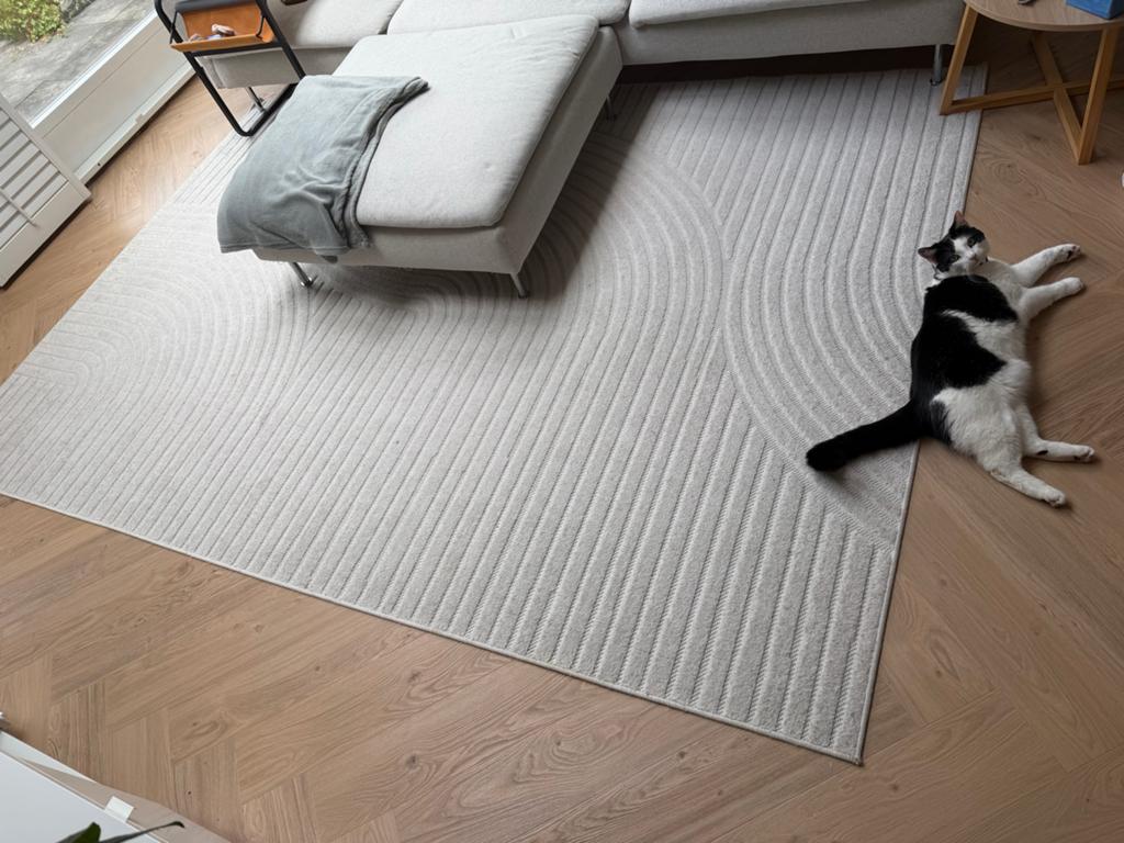 Pop Binnen/Buiten Vloerkleed Mars Crème 200x290cm, Ophalen, Nieuw, 200 cm of meer, Crème