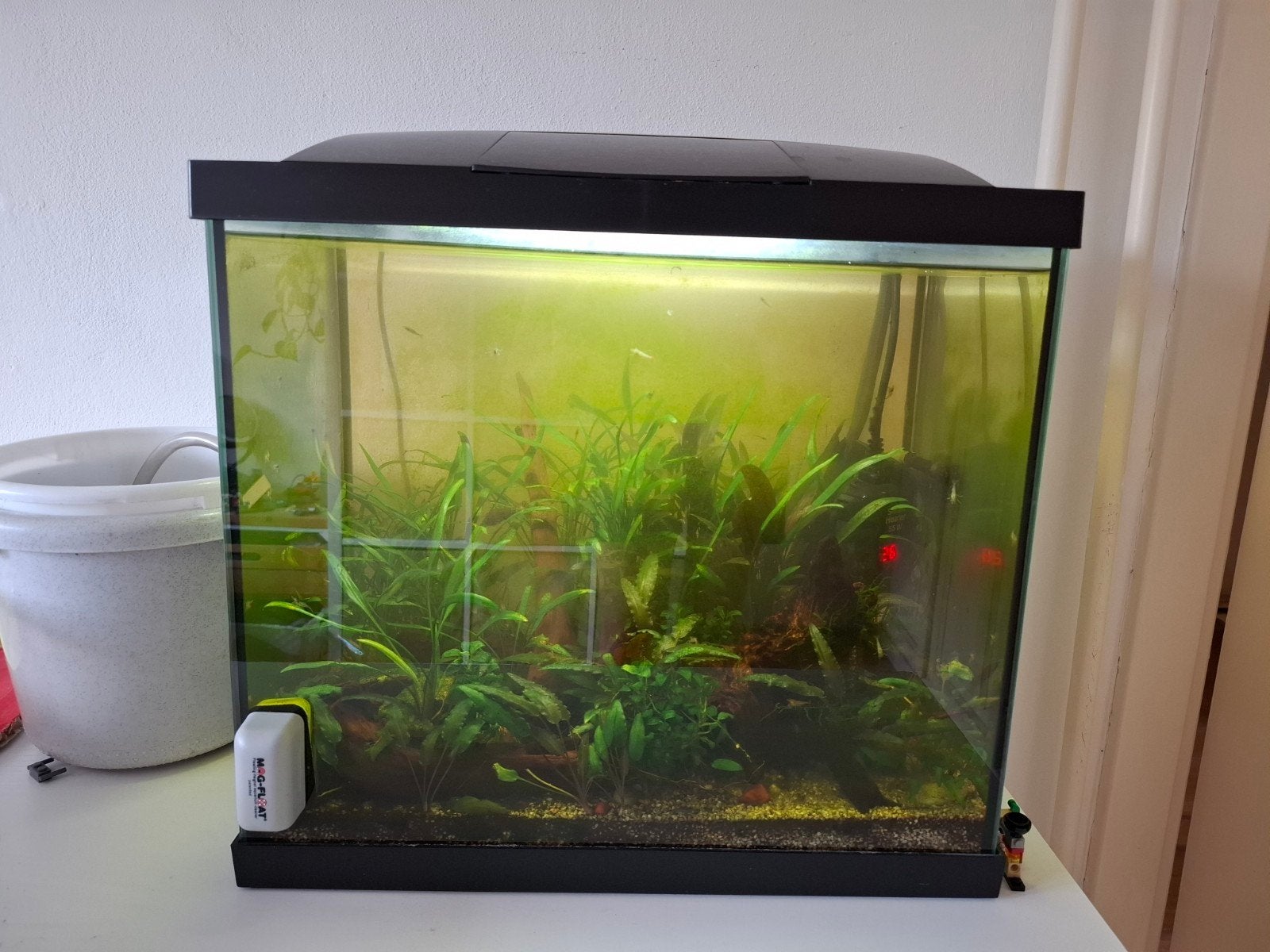 Aquarium, Ophalen, Inclusief toebehoren, Gebruikt, Gevuld zoetwateraquarium