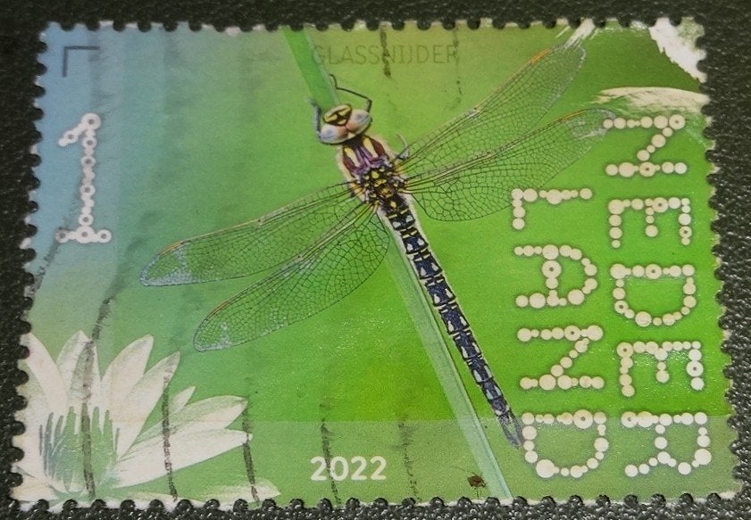 Beleef de Natuur - 4003 - 2022 - Glassnijder - PNe01-07, Verzenden, Na 1940, Gestempeld