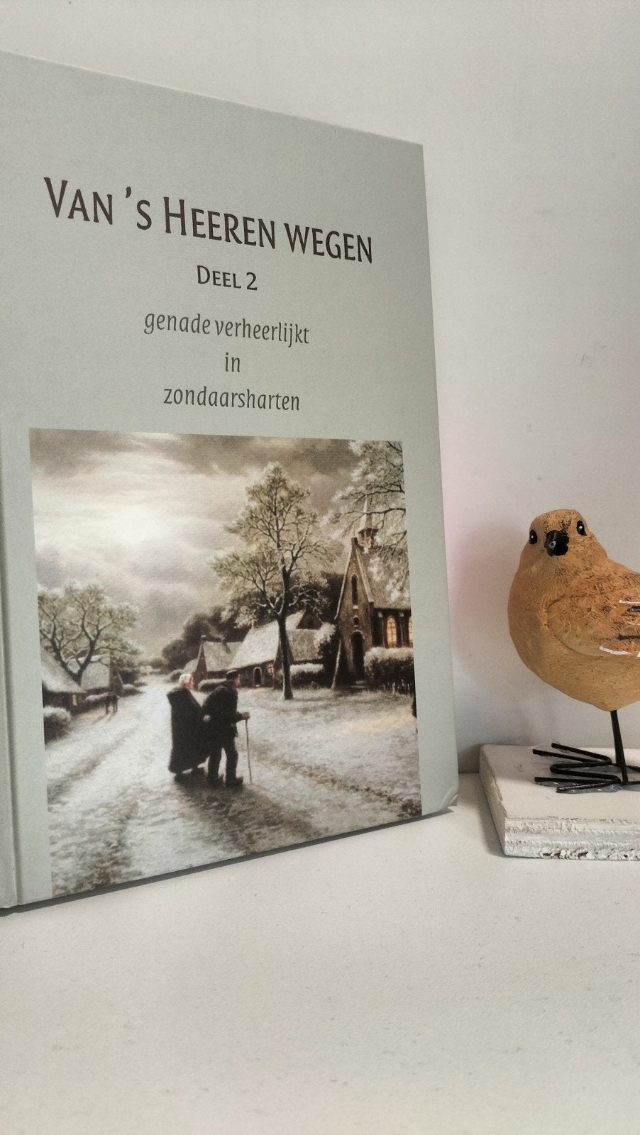Bel, A.; Van ‘s Heeren wegen deel 2, Ophalen of Verzenden, Gelezen, Christendom | Protestants