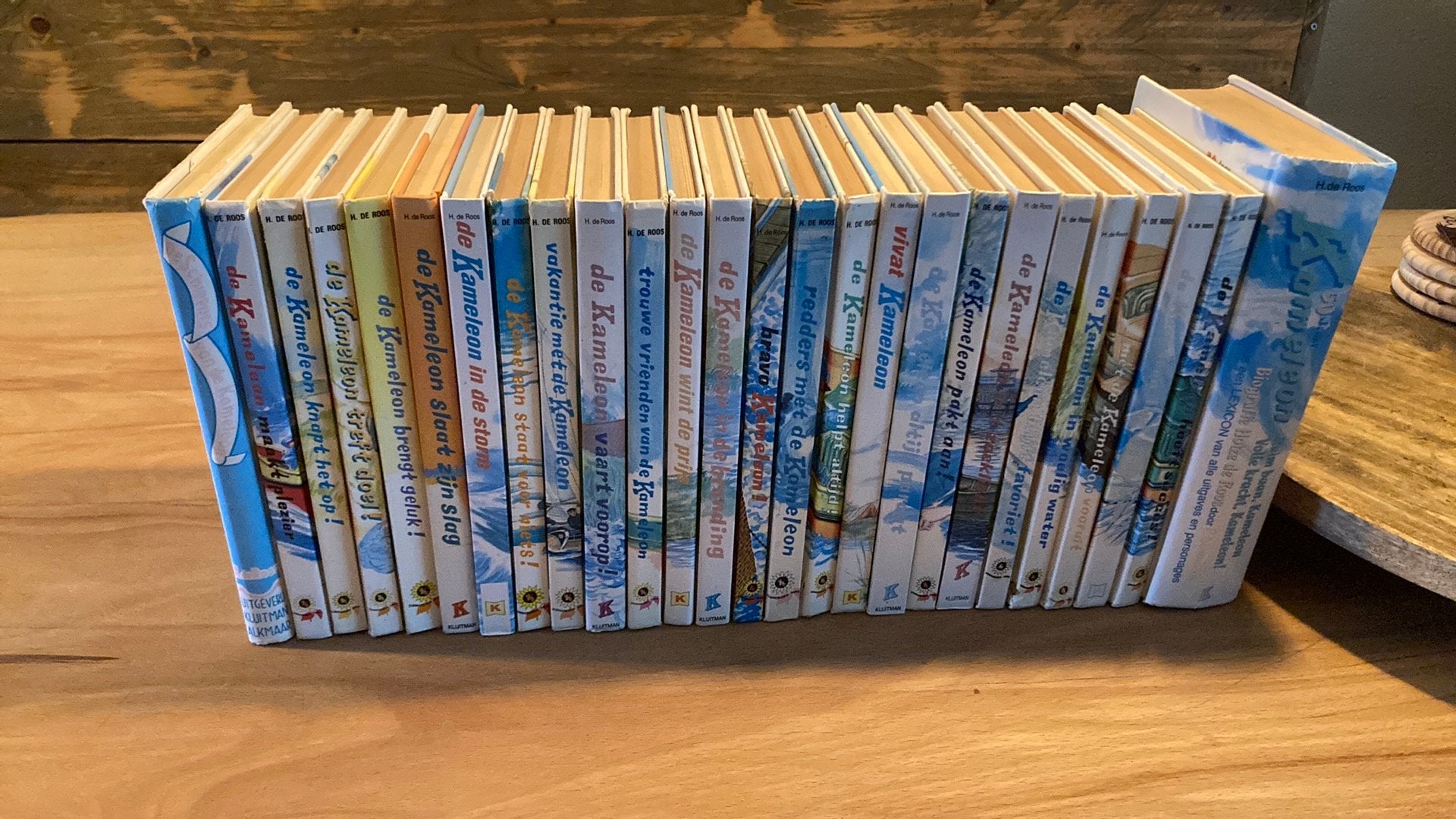 Kameleon boeken, Ophalen of Verzenden, Zo goed als nieuw