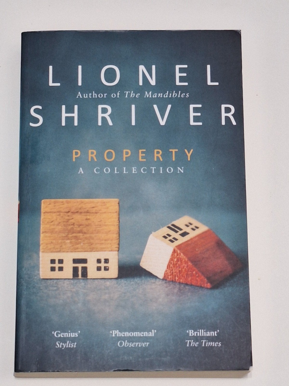 Property - Lionel Shriver (English book), Ophalen of Verzenden, Zo goed als nieuw, Lionel Shriver