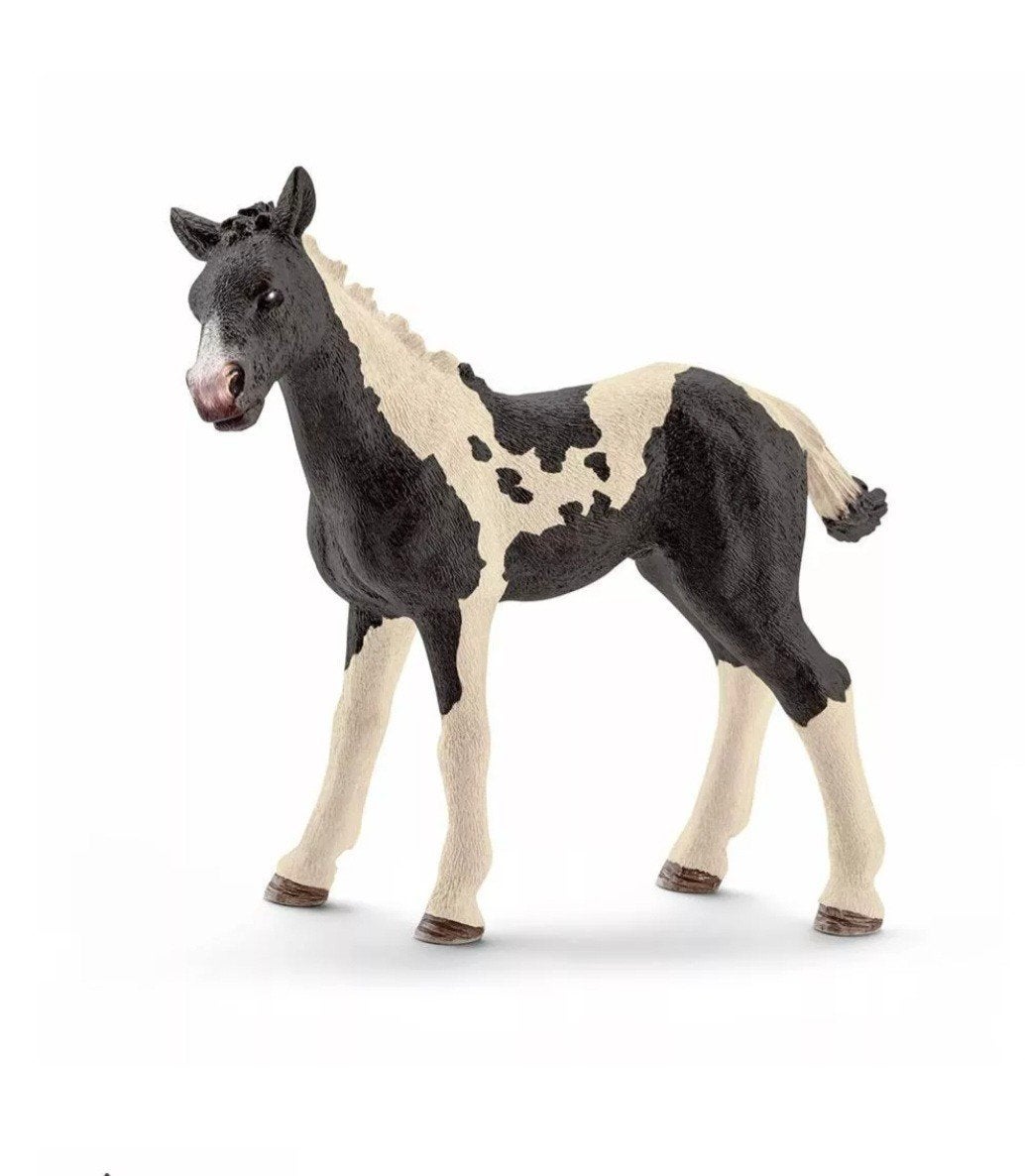 Schleich Pinto veulen, Ophalen of Verzenden, Nieuw, Paard, Beeldje of Figuurtje